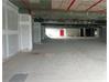 Shop-Mulgi for Rent